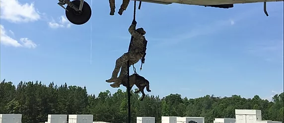 Military operator fast roping with K9