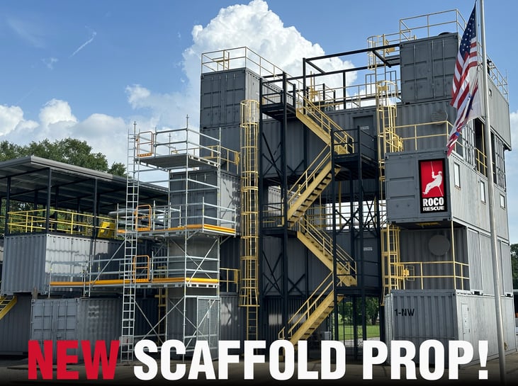 Scaffold Pic